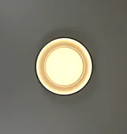 Ceiling LED Chandelier with Decorative Center Lens Shine 5089-300 60W  - фото 2
