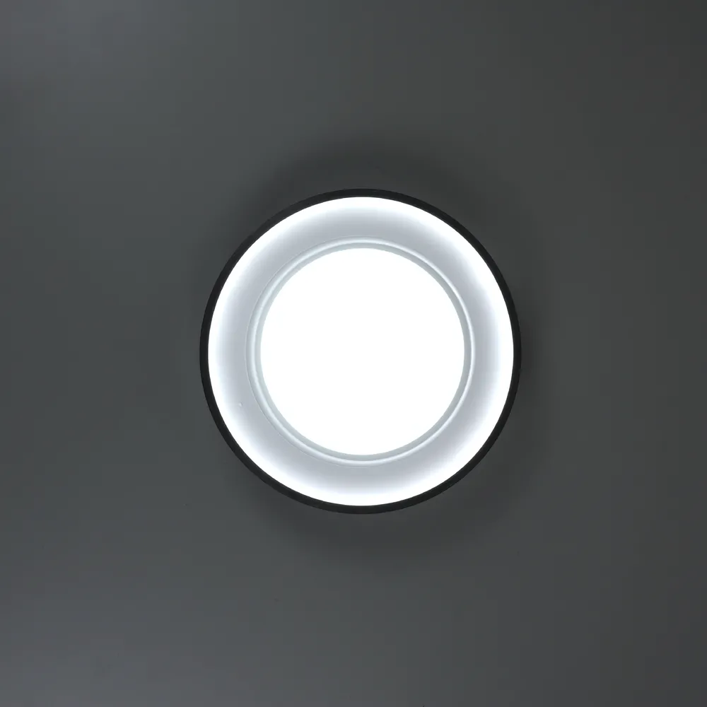 Ceiling LED Chandelier with Decorative Center Lens Shine 5089-300 60W  - фото 3