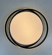 Simple Forms LED Ceiling Chandelier 8820-500C BK 120W  - фото 5