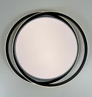Simple Forms LED Ceiling Chandelier 8820-500C BK 120W  - фото 6