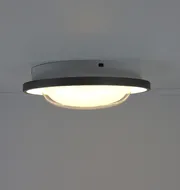 Ceiling LED Chandelier with Decorative Center Lens Shine 5089-300 60W  - фото 5